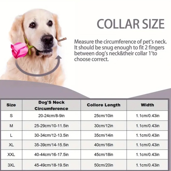 (New in package)Medium Elegant Silver Dog Collar - Picture 3 of 6